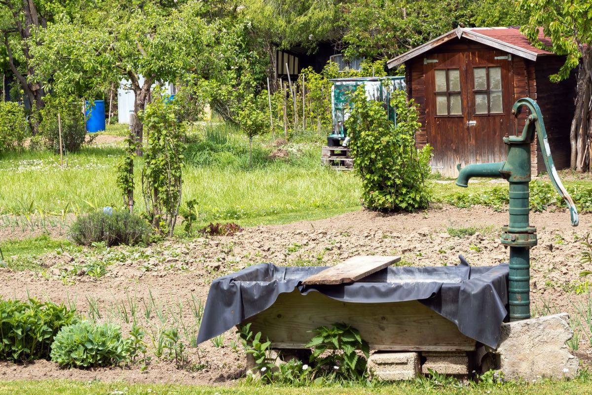 Hand pump and covered basin in a green garden.